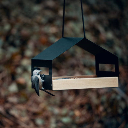 Bird House Feeder