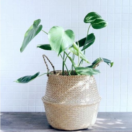 Wicker Planter Basket