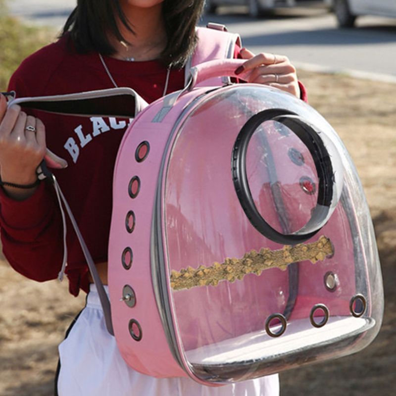 Portable Parrot Carrier