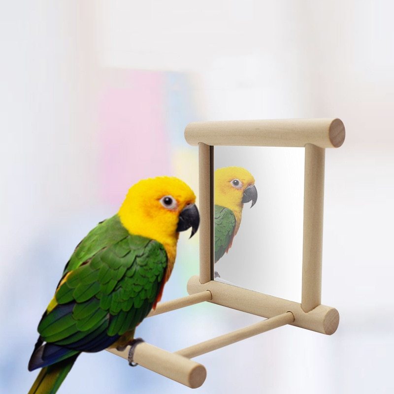 Mirrored Bird Stand