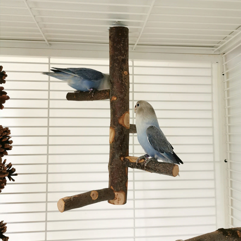 Apple Wood Parrot Stand