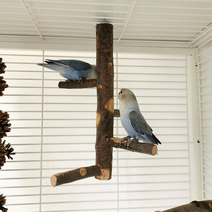 Apple Wood Parrot Stand