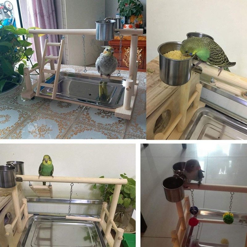 Parrot Wooden Stand