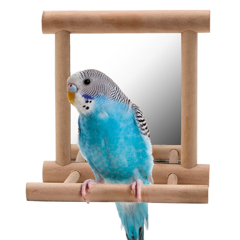 Mirrored Bird Stand