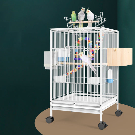 Bird Cage with Accessories