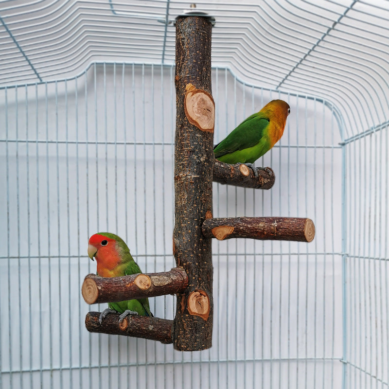 Apple Wood Parrot Stand