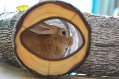 Pet Play Tunnel