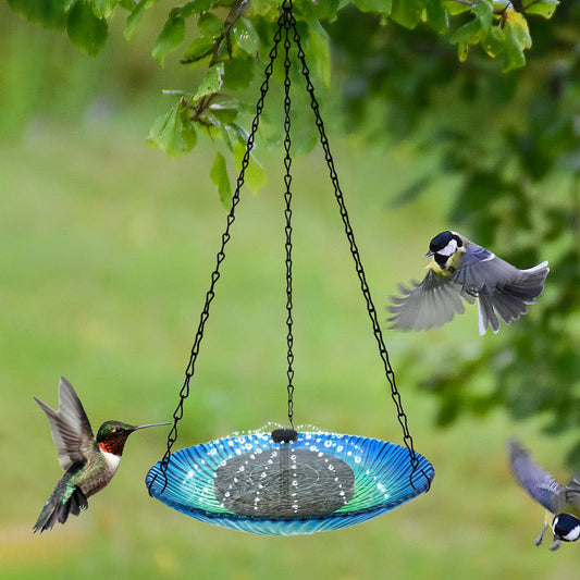 Solar-Powered Glass Bird Feeder and Fountain