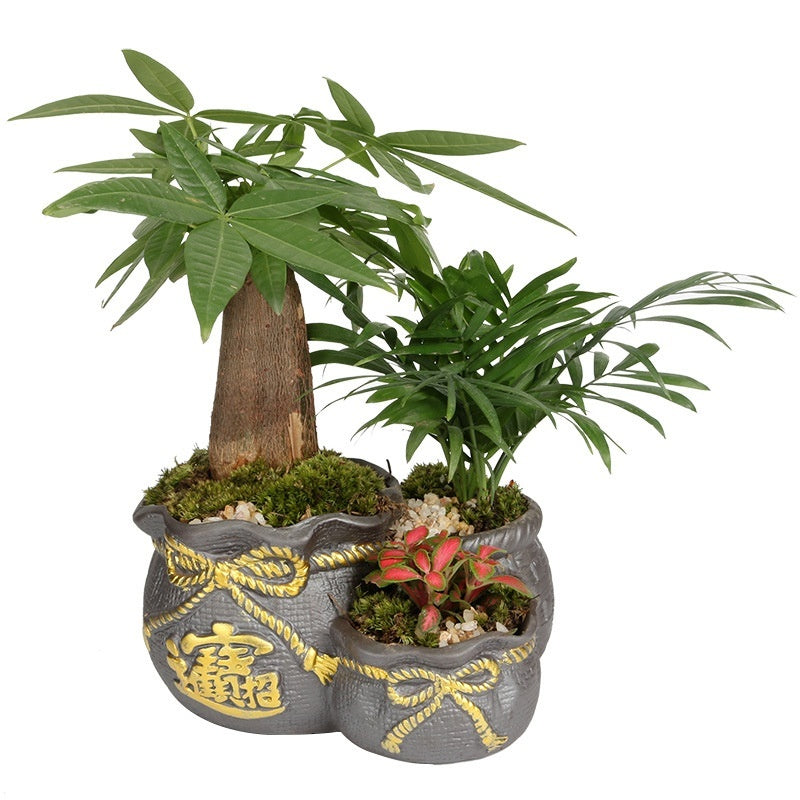 High Leg Indoor Black Purple Sand Orchid Pots