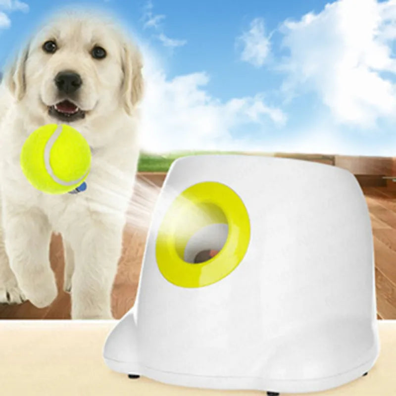 Automatic Pet Tennis Ball Launcher Toy