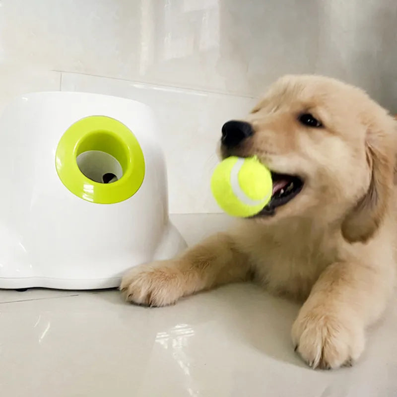 Automatic Pet Tennis Ball Launcher Toy