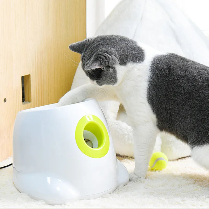 Automatic Pet Tennis Ball Launcher Toy