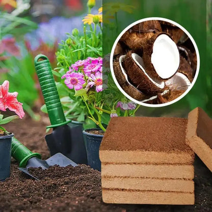 Organic Coconut Coir Bricks for Gardening 