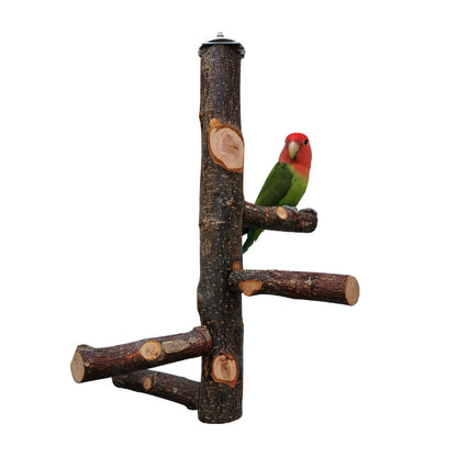 Apple Wood Parrot Stand