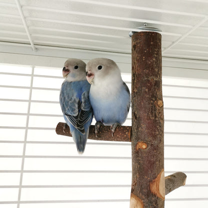 Apple Wood Parrot Stand