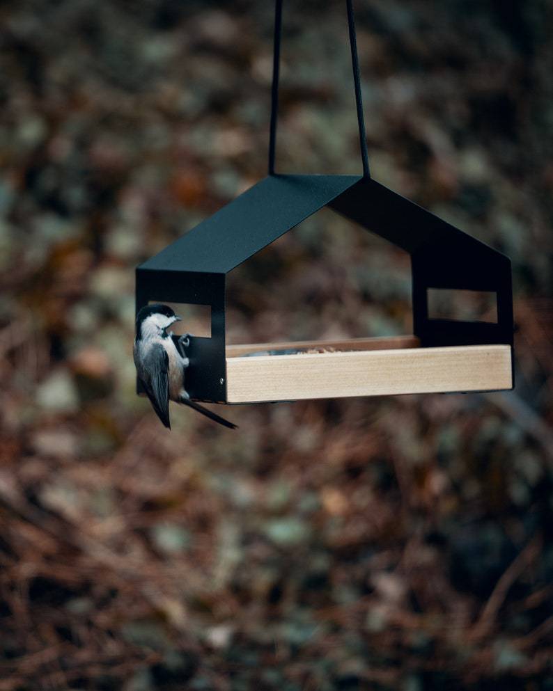 Bird House Feeder