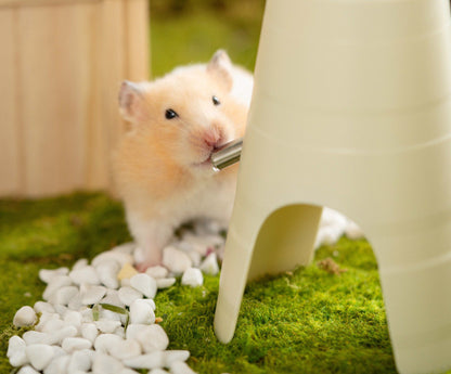 Small Pet Automated Water Station